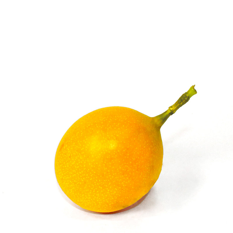 Ecuador Passionfruit