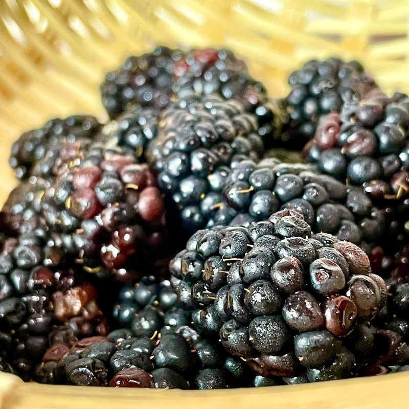 Driscoll's Blackberries