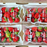 Air-flown Japan Beni hoppi Strawberries (ETA 08.05)