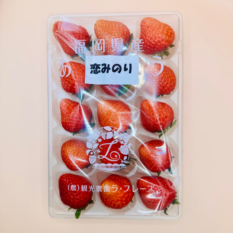 Japan Fukuoka Koiminori Strawberries