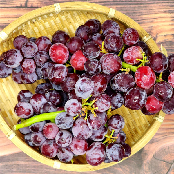 USA Candy Snap grapes