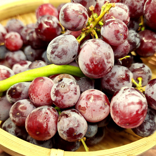 USA Candy Snap grapes