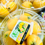 Air-flown Japan Fukuoka Organic Biwa (枇杷)