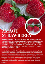 Japan Fukuoka Amaou Strawberries