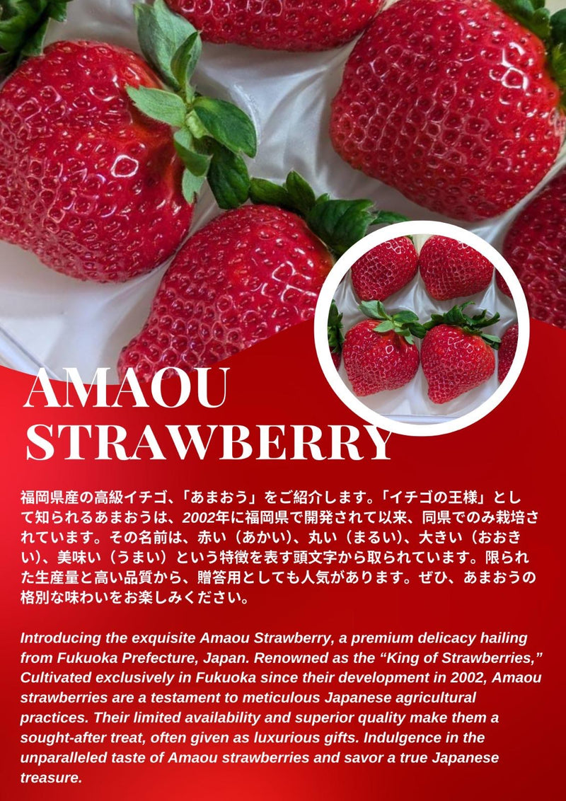 Japan Fukuoka Amaou Strawberries