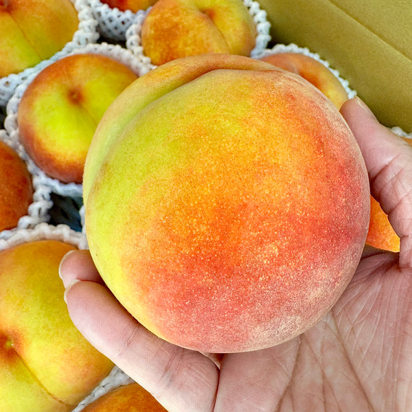 Japan air-flown yellow peach