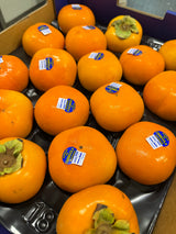Australia Persimmons