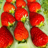 Air-flown Japan Fukuoka Reddia strawberries