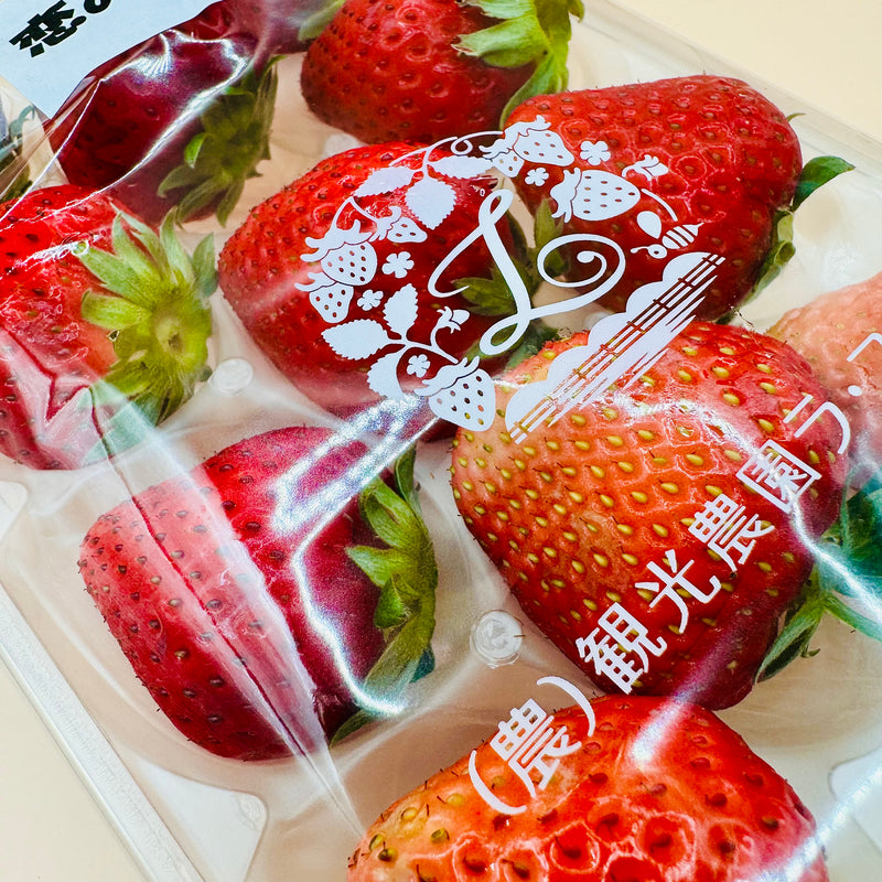 Japan Fukuoka Koiminori Strawberries