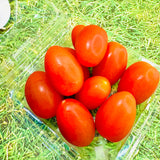 Japan Kumamoto Chiko Cherry tomatoes