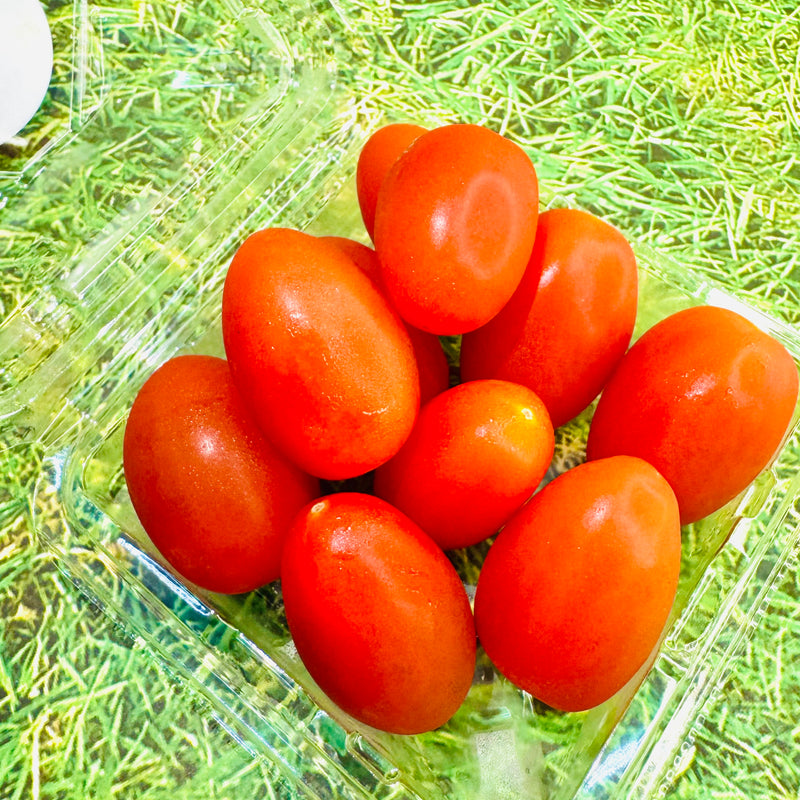 Japan Kumamoto Chiko Cherry tomatoes