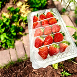 Japanese Ichigo Strawberries 200g