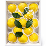 Japan air-flown Miyasaki Hyuganatsu gift box