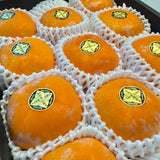 Japan air-flown Matsuda persimmons gift box (36th generation)