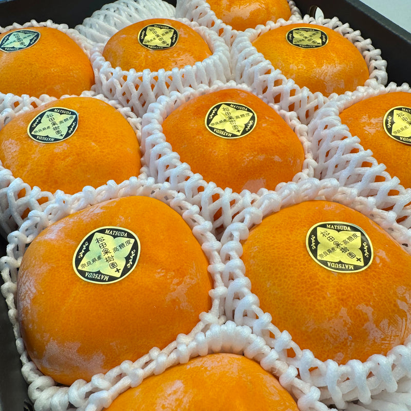 Japan air-flown Matsuda persimmons gift box (36th generation)