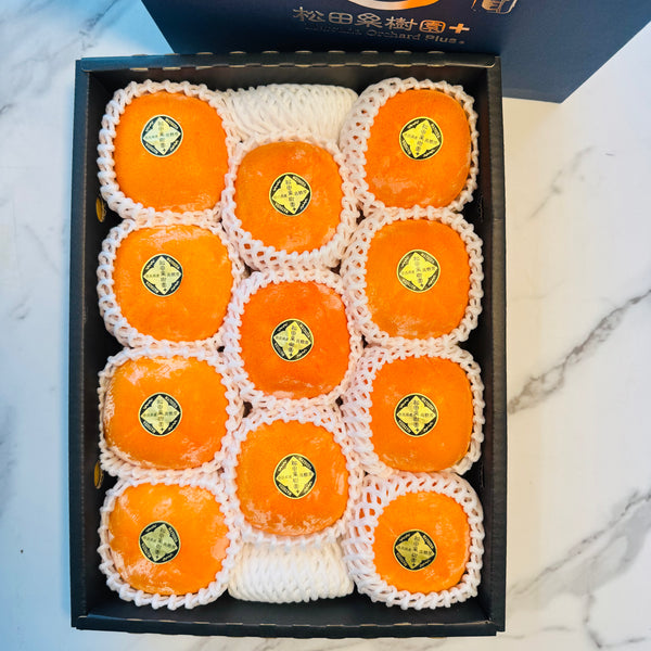 Japan air-flown Matsuda persimmons gift box (36th generation)