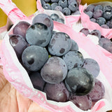 Air-flown Japan Kyoho Grapes