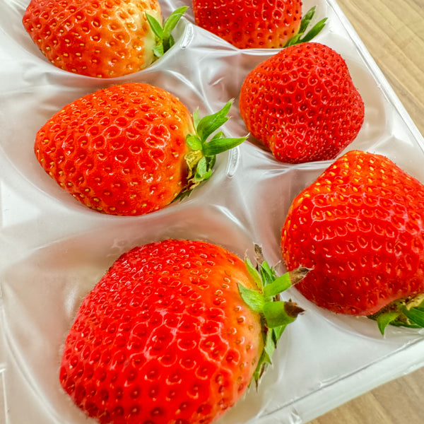 Japan Fukuoka Amaou Strawberries