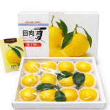 Japan air-flown Miyasaki Hyuganatsu gift box