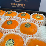 Japan air-flown Matsuda persimmons gift box (36th generation)