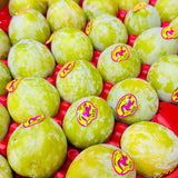 Green 'Dino Egg' Plumcot