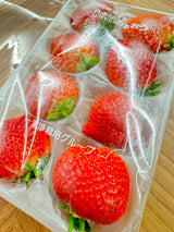 Japan Fukuoka Amaou Strawberries