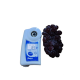 Air-flown Japan Delaware Grapes 300g