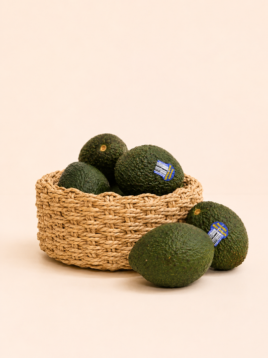 Australia Avocado