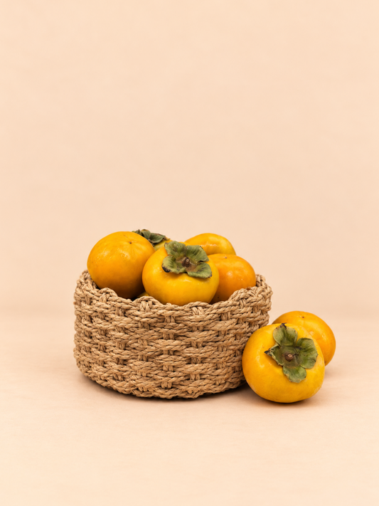 China Persimmon