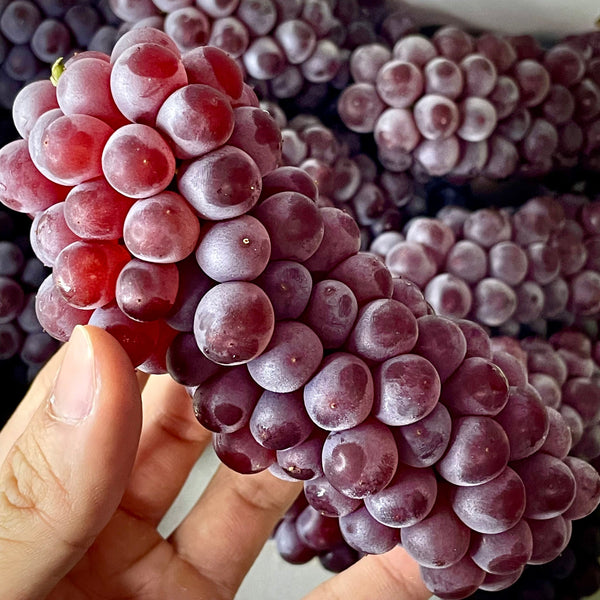Tips for eating Japan grapes