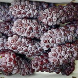 Air-flown Japan Delaware Grapes 300g