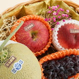 Premium Japanese Hamper