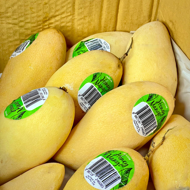 Thai Honey Mango (small-medium)