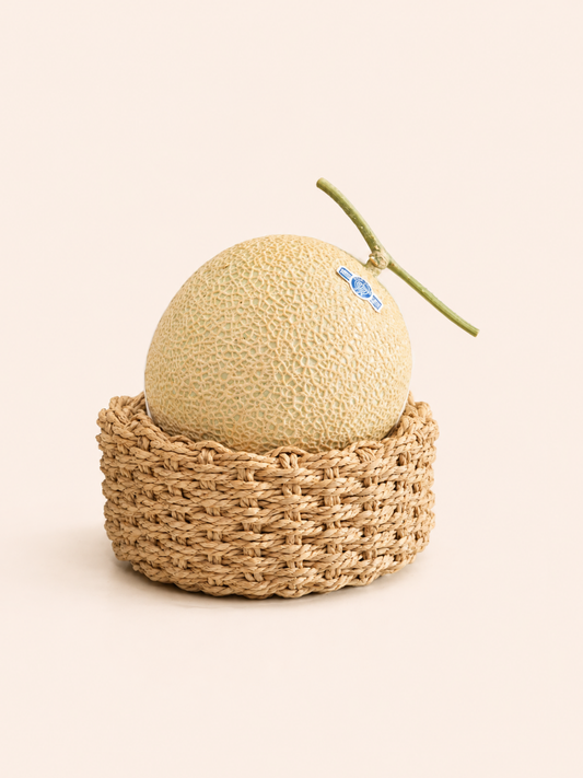 Japan Shizuoka Earl Melon