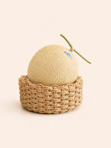 Japan Earl Melon With Gift Box