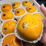 Air-flown Japan Nara Persimmon gift box