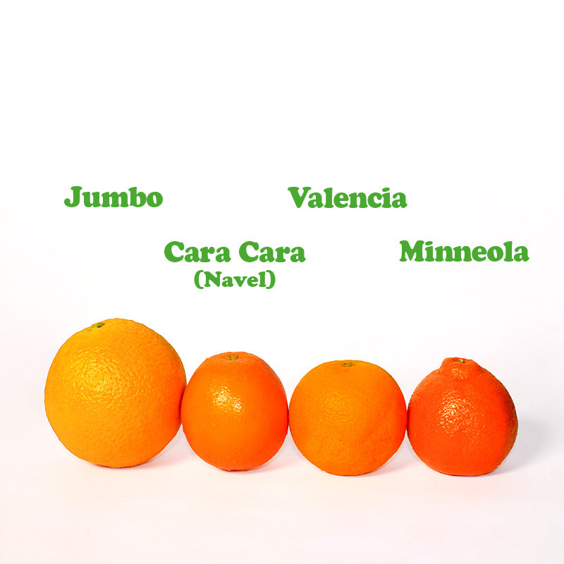 Aus Sunkist Navel Orange