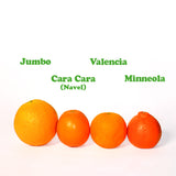 Jumbo Barnfield Black Label Oranges