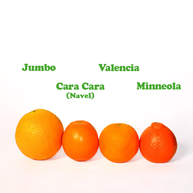 Jumbo Barnfield Black Label Oranges