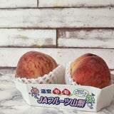 Air-flown Japan Yamanashi White Peach 2pc