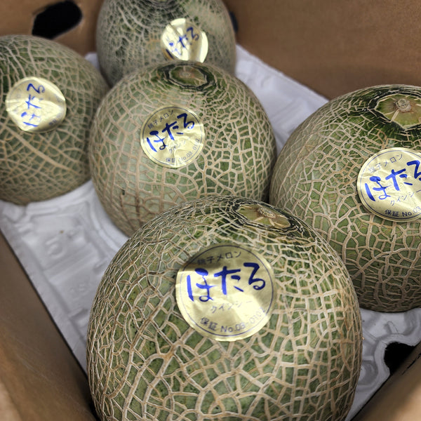 Air-flown Japan Quincy melon