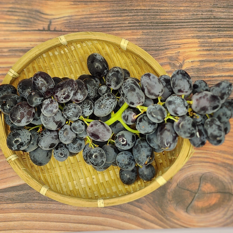 Aus Midnight beauty grapes