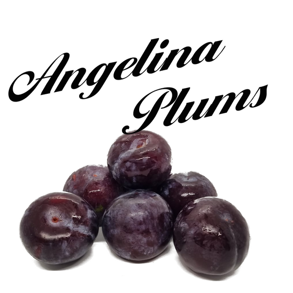 China Angelina Plums (1kg)