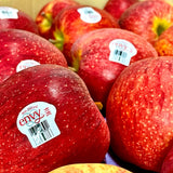 ENVY Apple (jumbo)