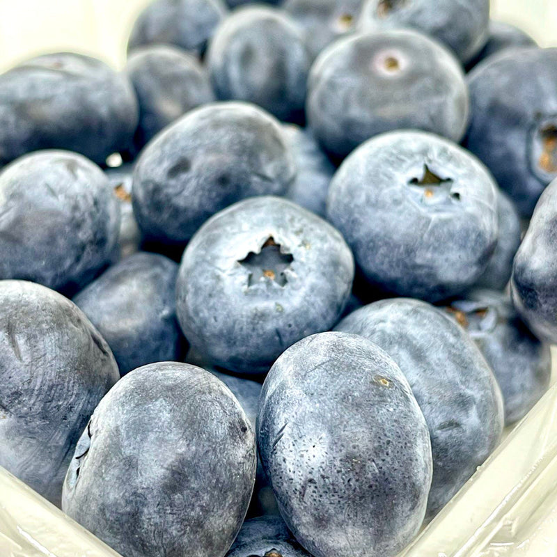 Morocco Jumbo Blueberries