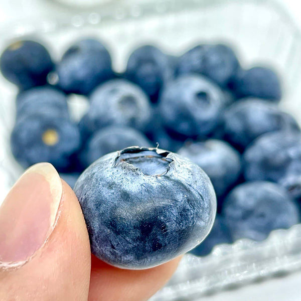 Peru Jumbo Blueberries