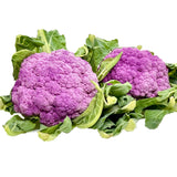 Air-flown Japan Purple cauliflower