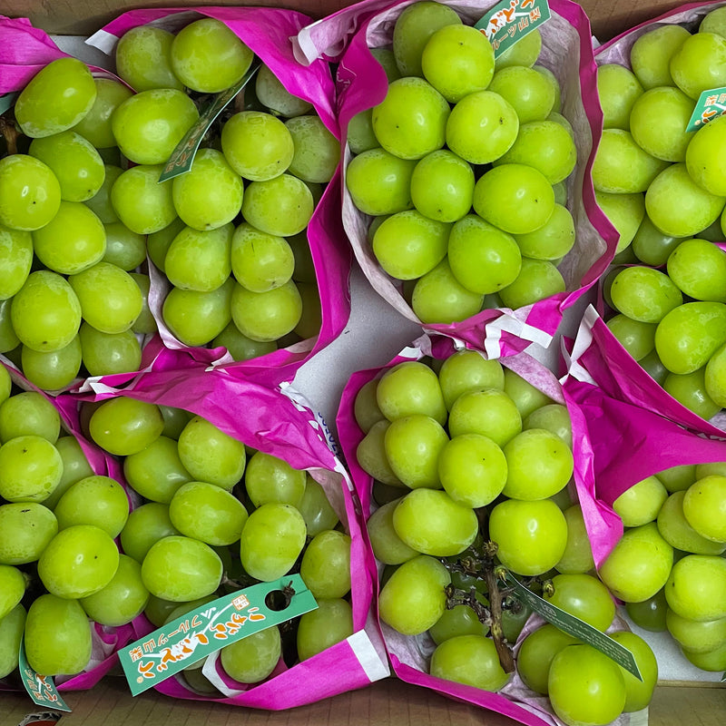Air-flown Japan Premium Shine Muscat grapes 625g