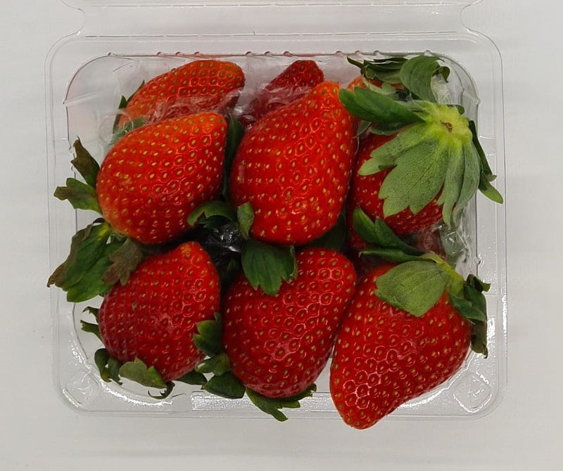 Korea Jumbo Strawberries