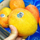 Australia Calyso Mango